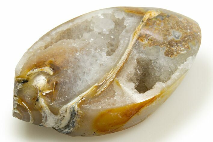 Chalcedony Replaced Gastropod With Sparkly Quartz - India #318699